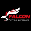 Компания "Falcon"